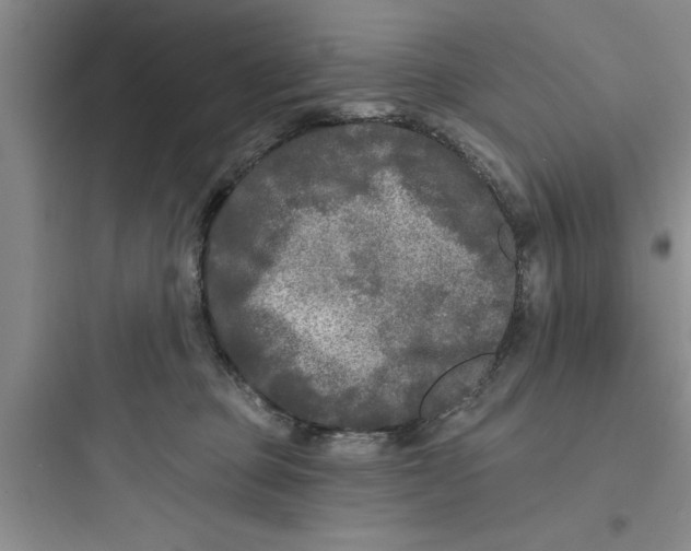 X0000097610373200803211728