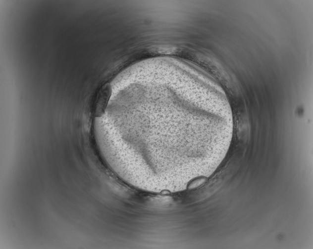 X0000097610374200803211728