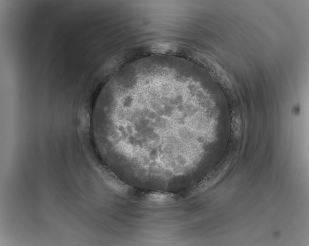 X0000097610375200803211728