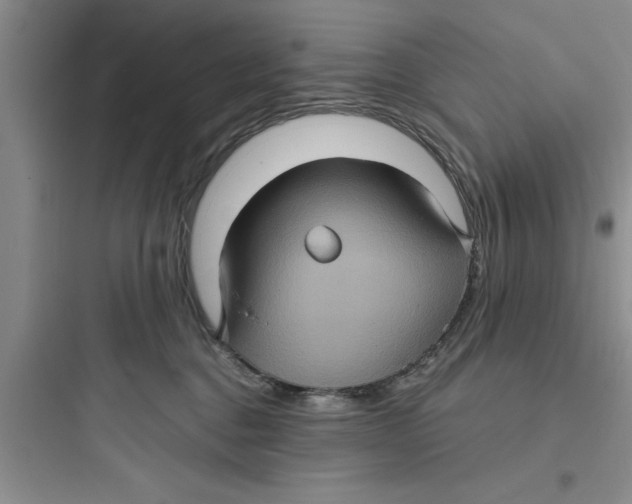 X0000097610376200803211728