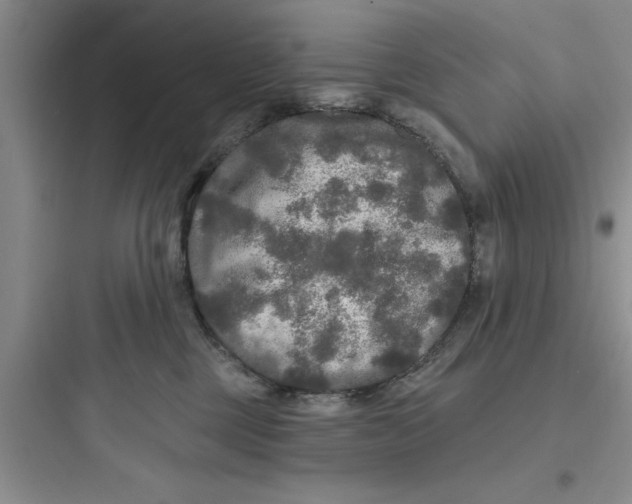 X0000097610377200803211728