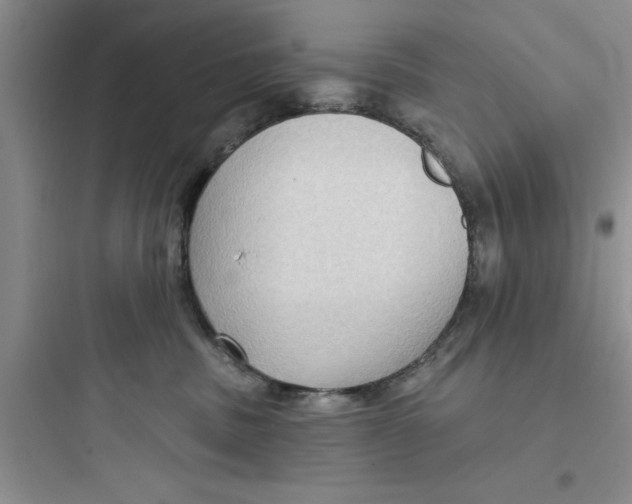 X0000097610379200803211728