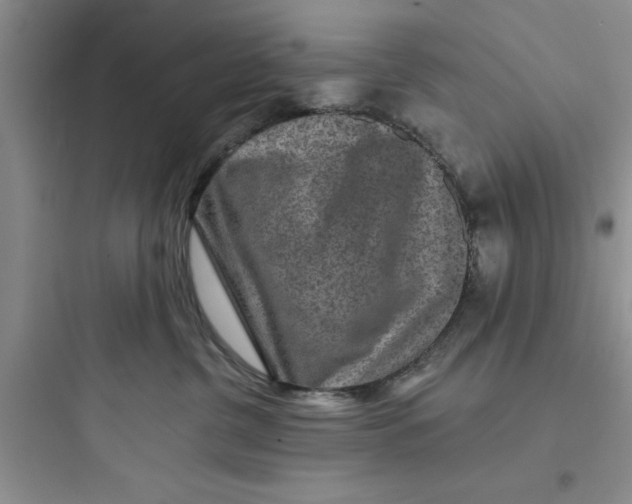 X0000097610380200803211728