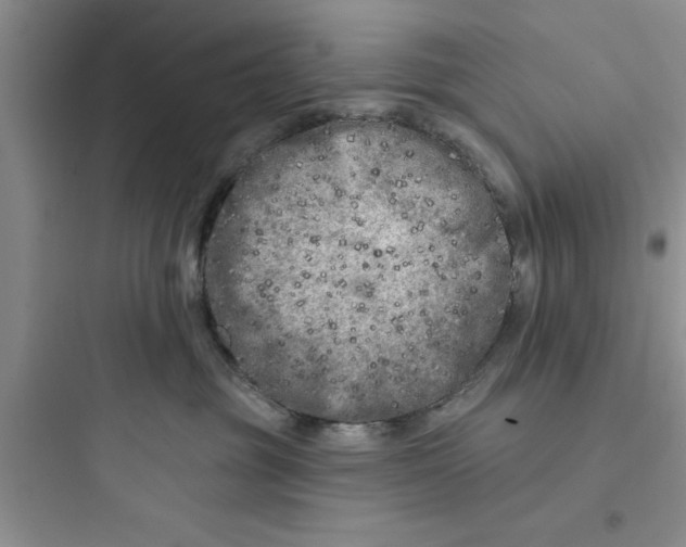 X0000097610381200803211728