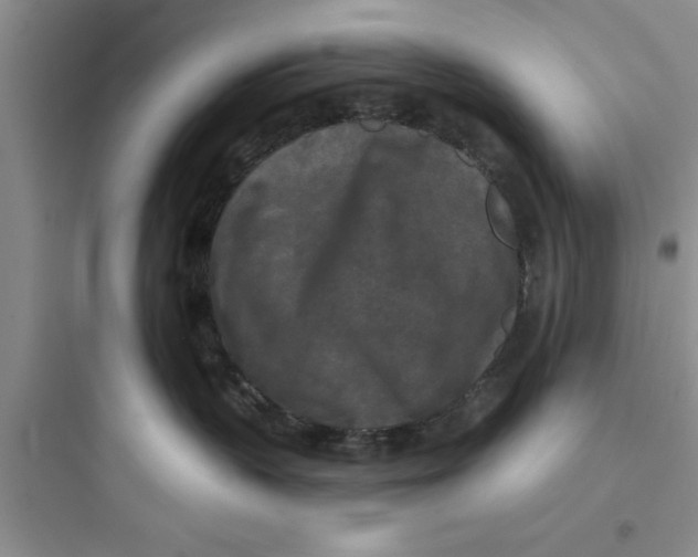 X0000097610383200803211728