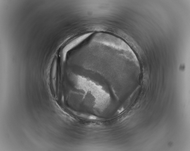 X0000097610386200803211727