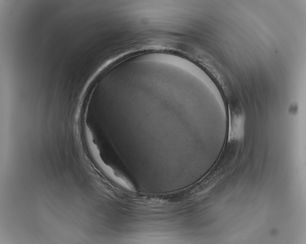 X0000097610387200803211727