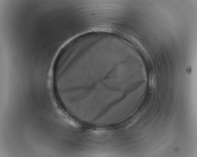 X0000097610388200803211727