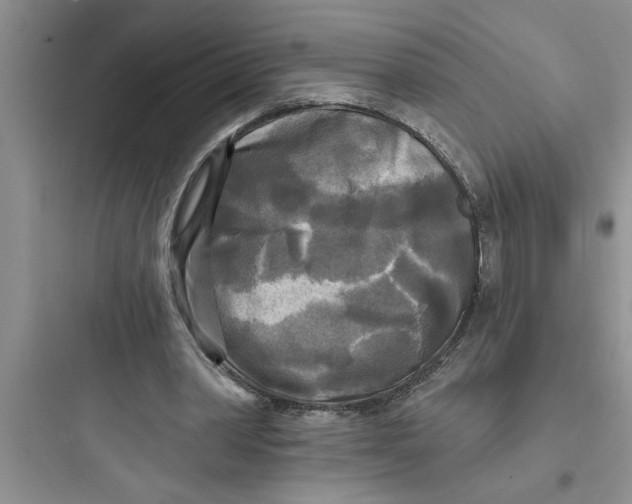 X0000097610390200803211727