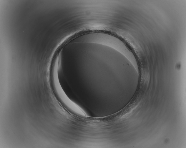 X0000097610391200803211727