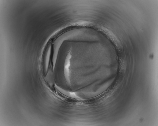 X0000097610392200803211727