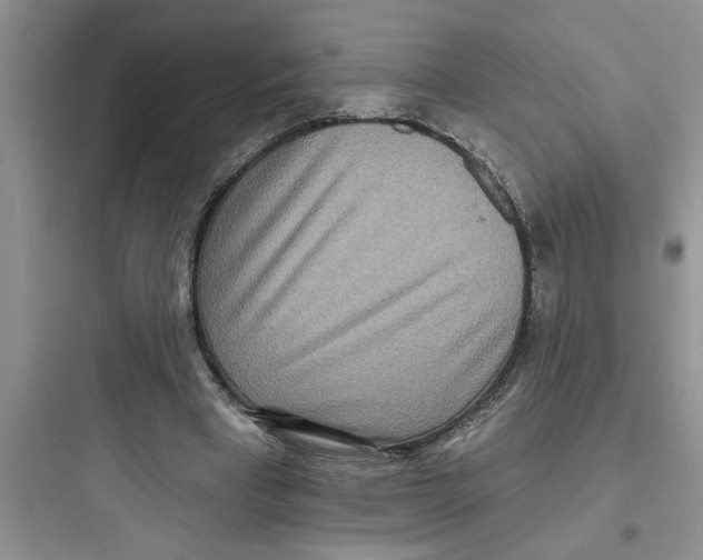 X0000097610393200803211727