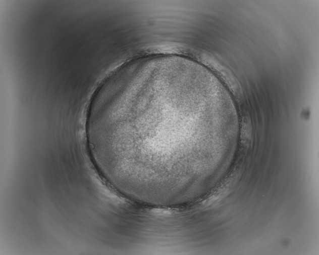 X0000097610394200803211727