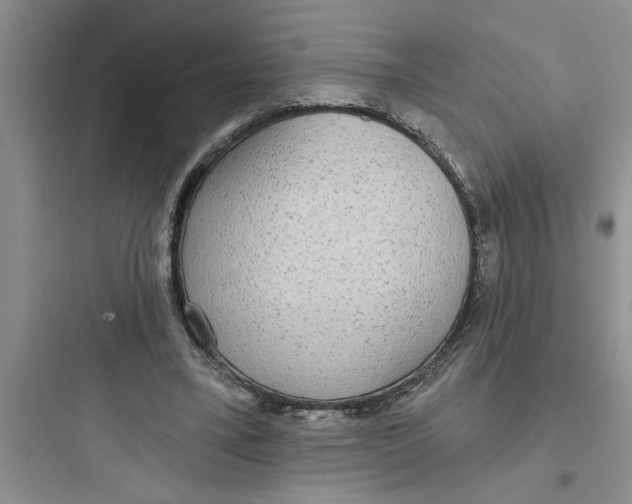 X0000097610395200803211727