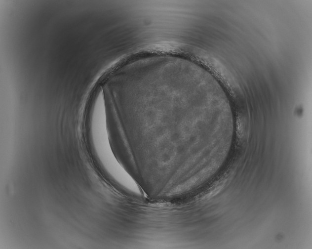 X0000097610396200803211727