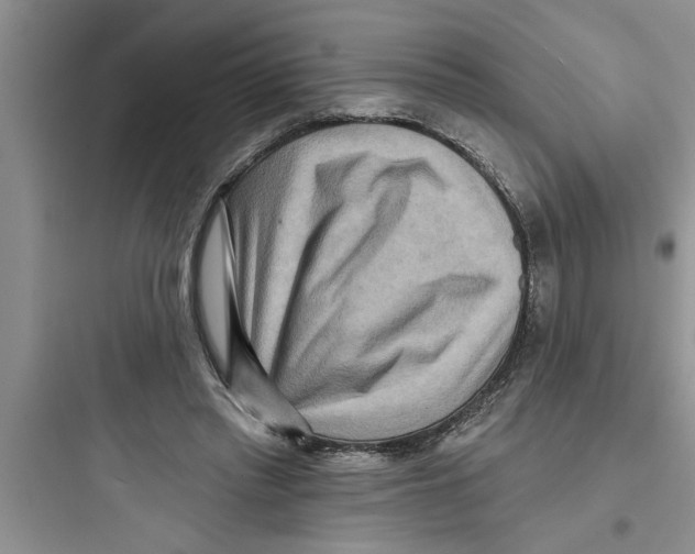 X0000097610397200803211727