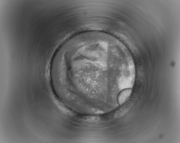 X0000097610398200803211727