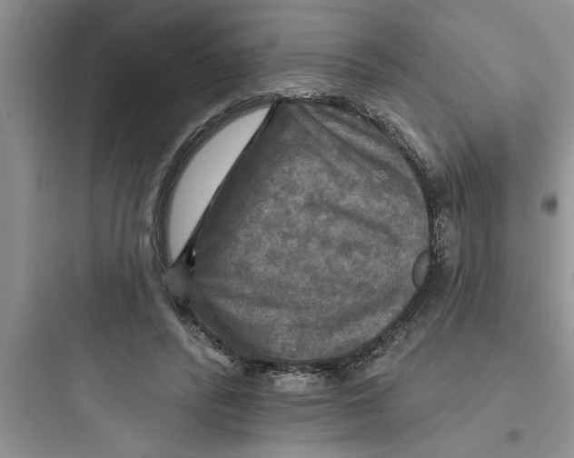 X0000097610400200803211727