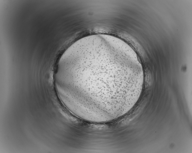 X0000097610401200803211727