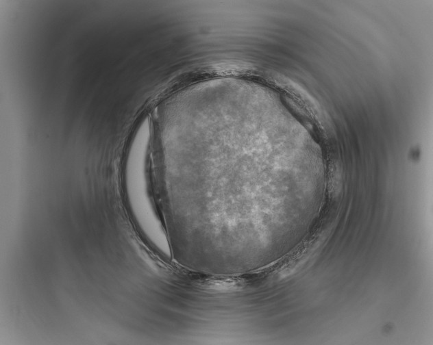 X0000097610405200803211727