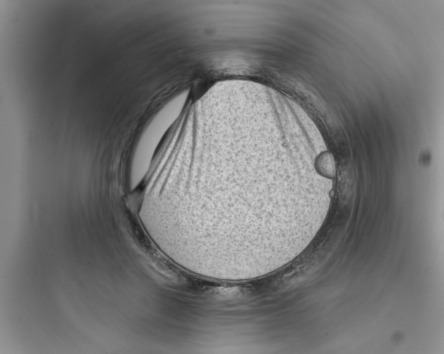 X0000097610406200803211727