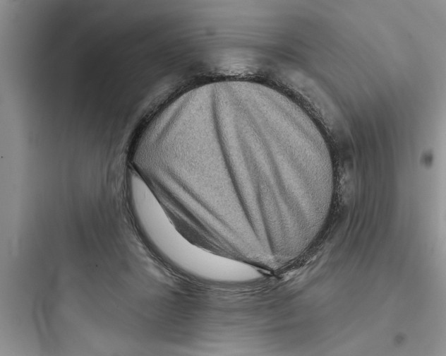 X0000097610407200803211727