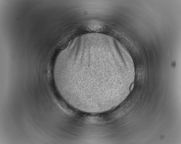 X0000097610408200803211727