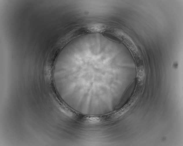 X0000097610409200803211727