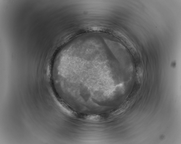 X0000097610410200803211727