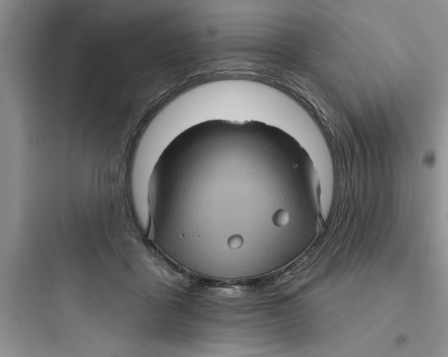 X0000097610411200803211727