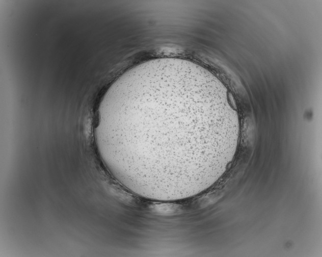 X0000097610417200803211727