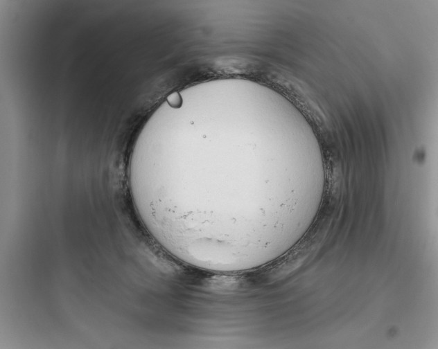 X0000097610418200803211727