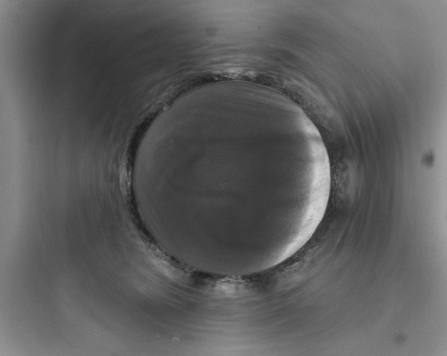 X0000097610420200803211727