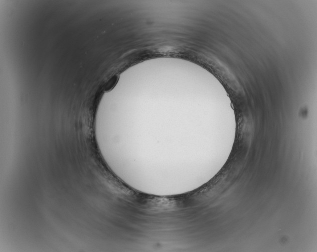 X0000097610421200803211727