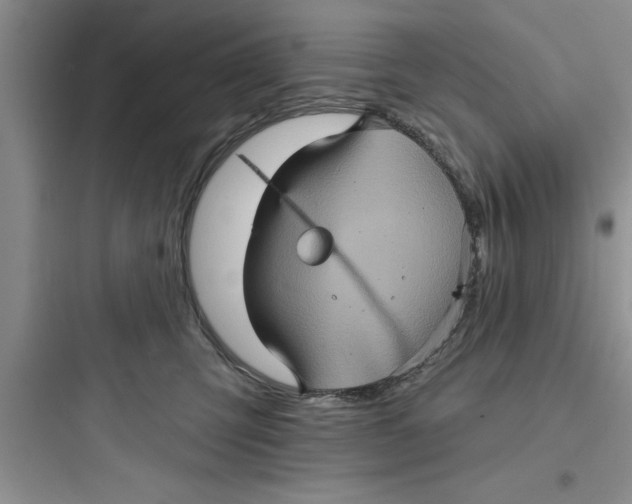 X0000097610423200803211727