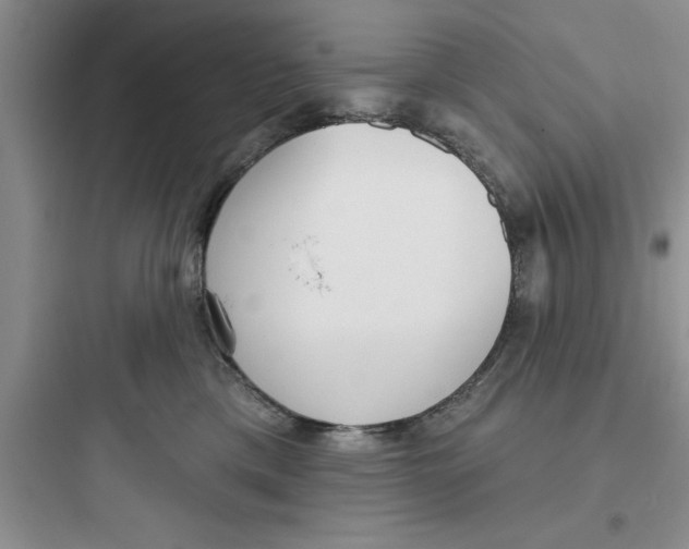 X0000097610425200803211727