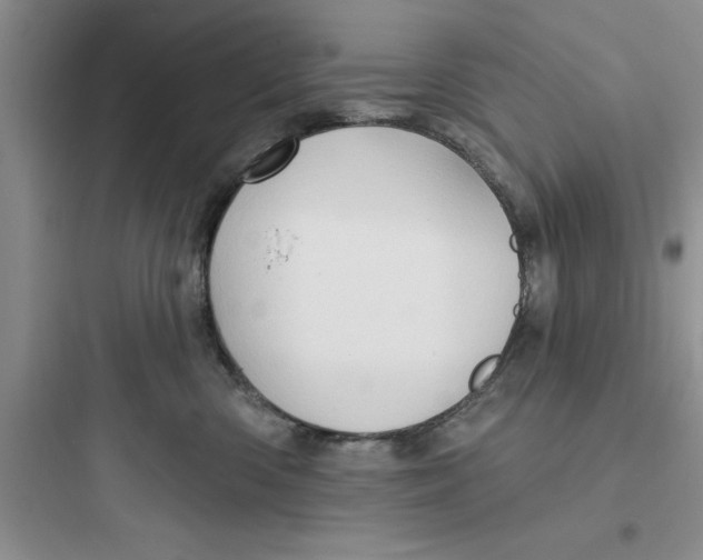 X0000097610426200803211727