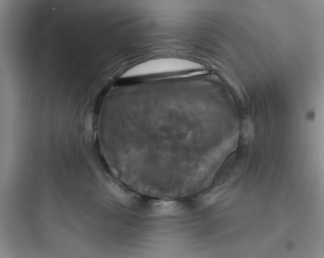 X0000097610428200803211727