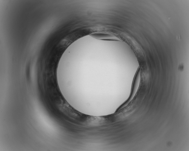 X0000097610429200803211727