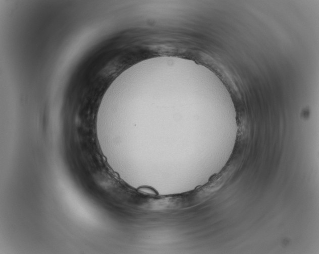 X0000097610430200803211727