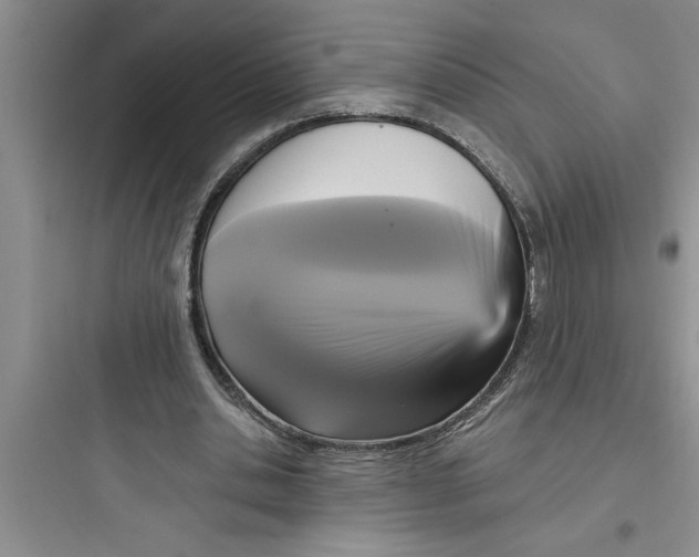 X0000097610438200803211726