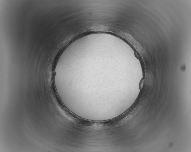 X0000097610441200803211726