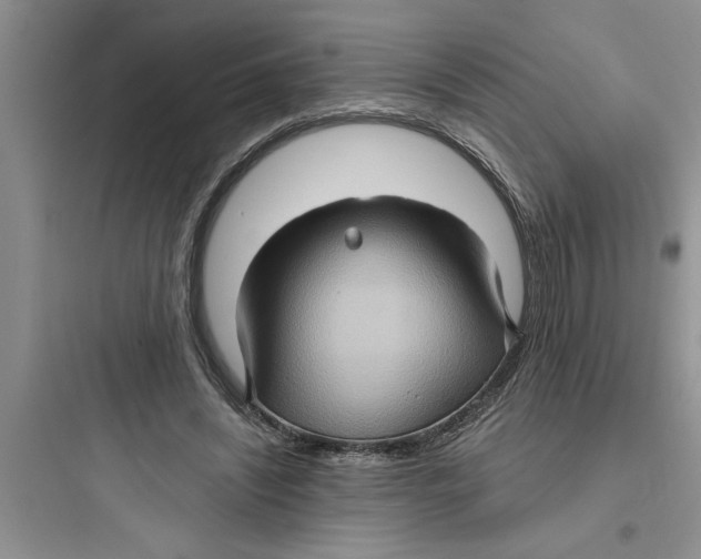 X0000097610444200803211726