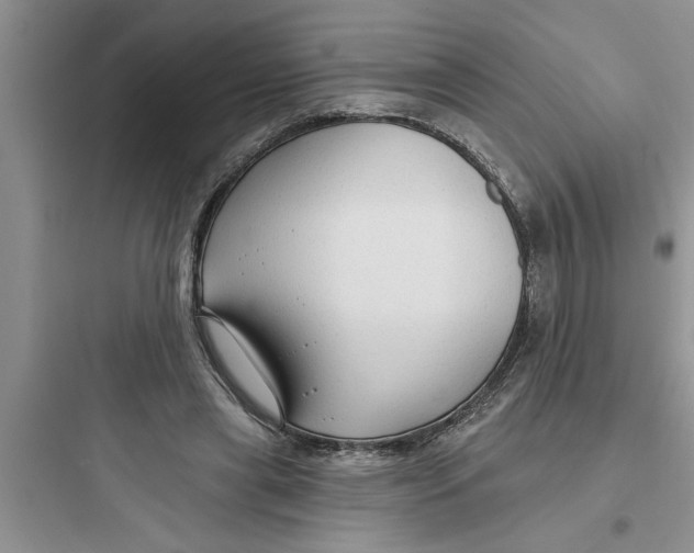 X0000097610445200803211726