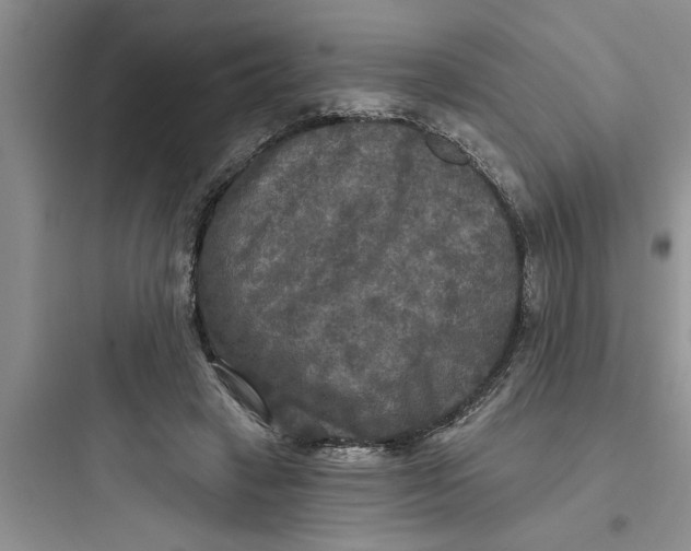 X0000097610449200803211726