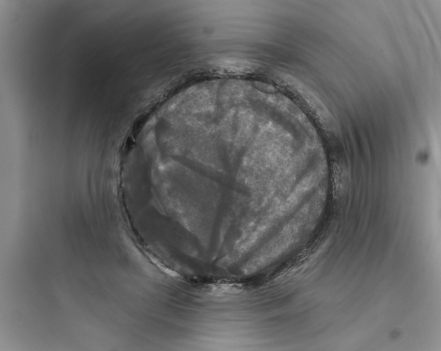 X0000097610451200803211726