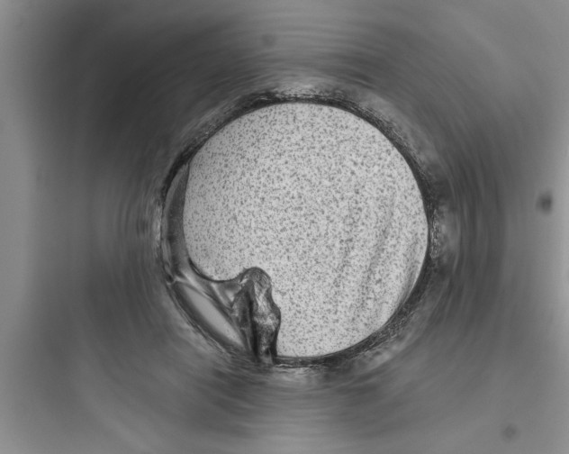 X0000097610454200803211726