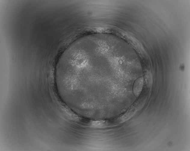 X0000097610461200803211727