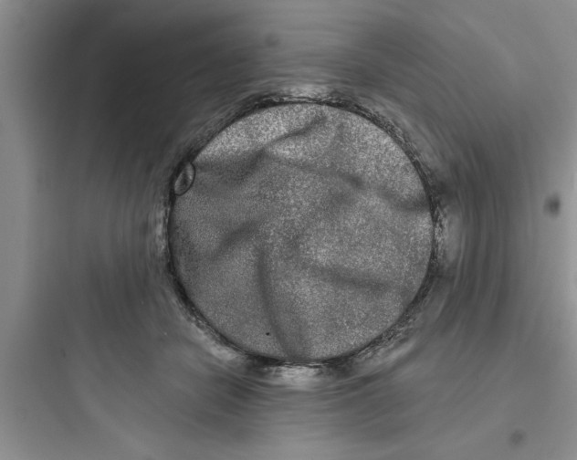 X0000097610462200803211727