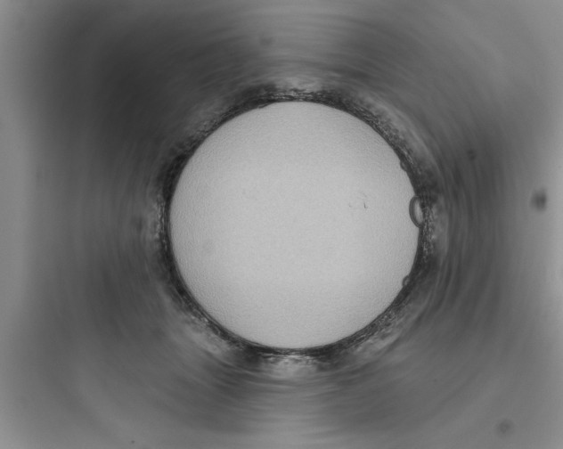 X0000097610463200803211727